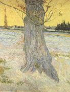 Vincent Van Gogh Trunk of an old Yew Tree (nn04) USA oil painting reproduction